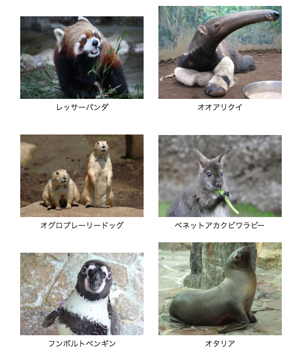 入園無料 西葛西 行船公園にある穴場の動物園はヨチヨチ歩きでok 子連れお出かけ ぴょんの助の365ライフハック